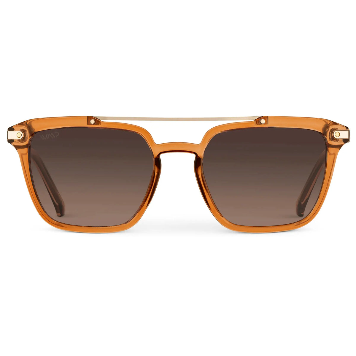 Connor | Polarized