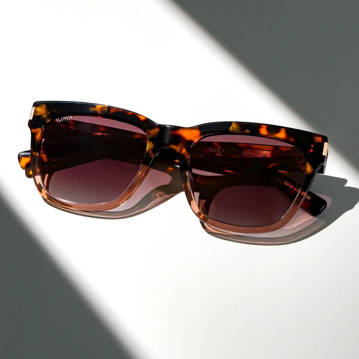 Dakota | Polarized