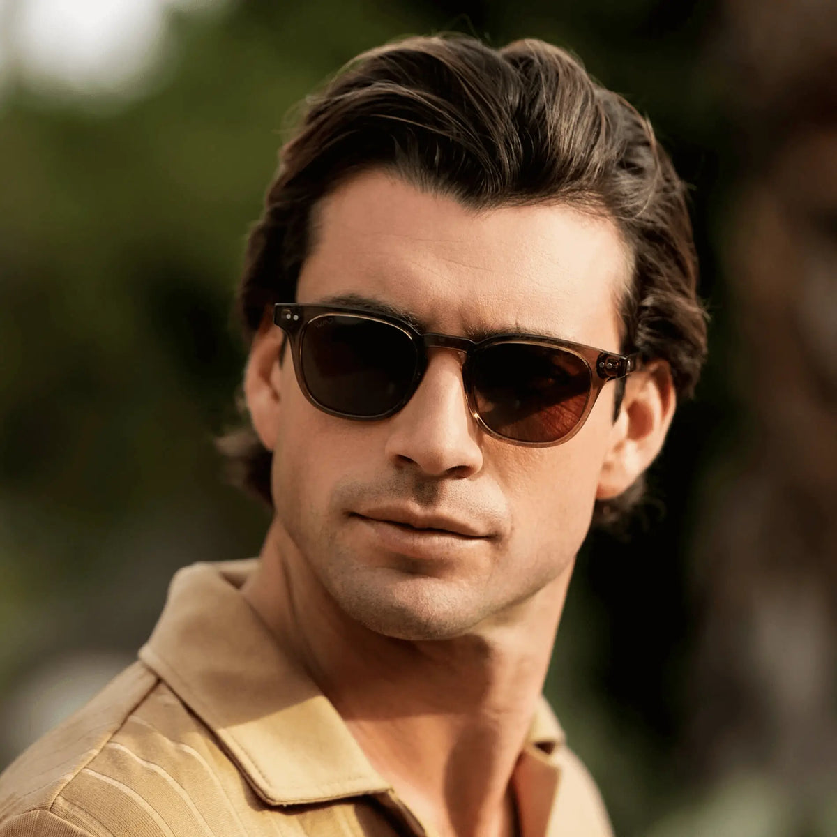 Clark | Polarized