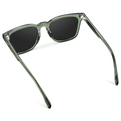 Chip | Polarized