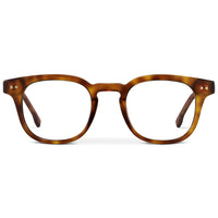 Saddlewood Tortoise