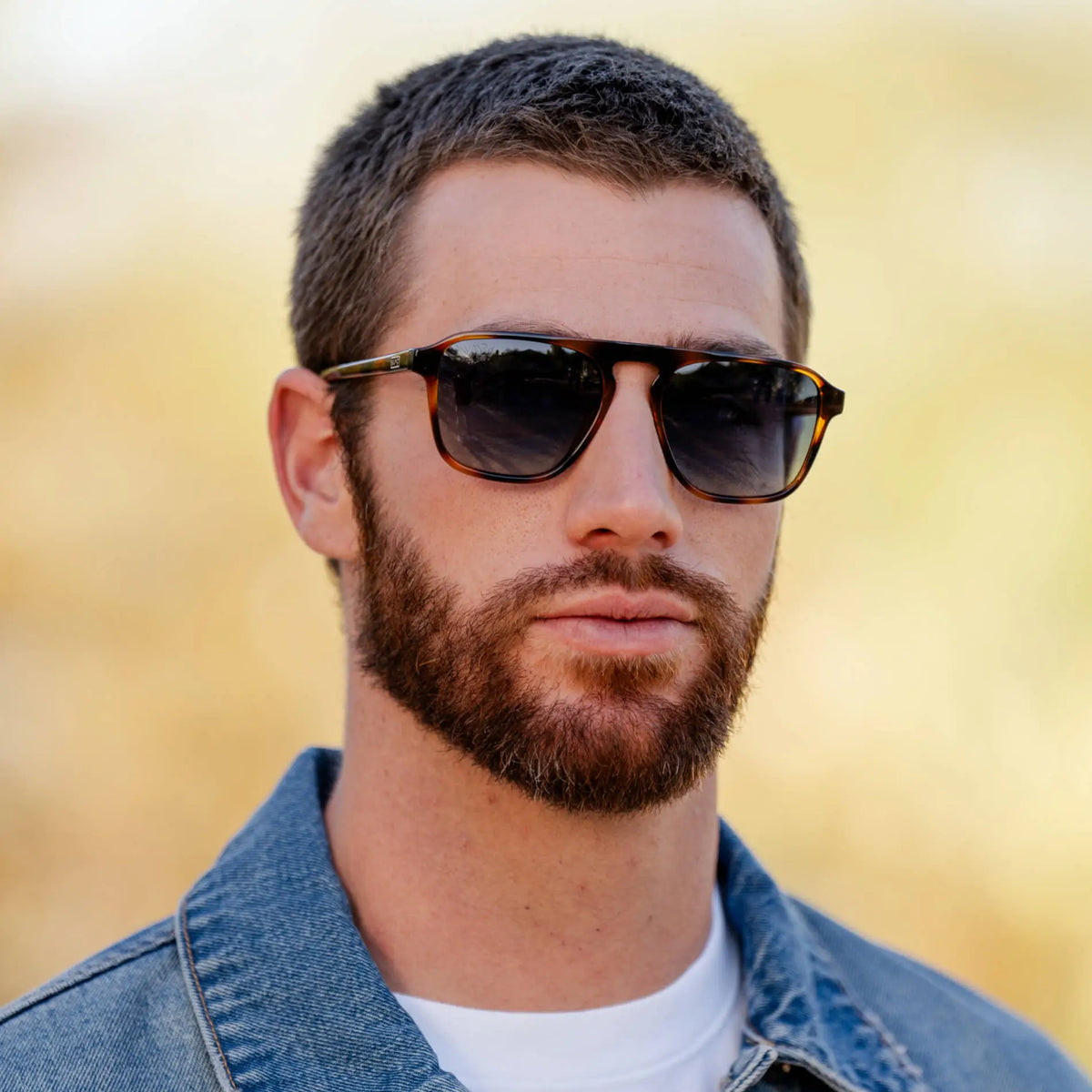 Emerson | Polarized