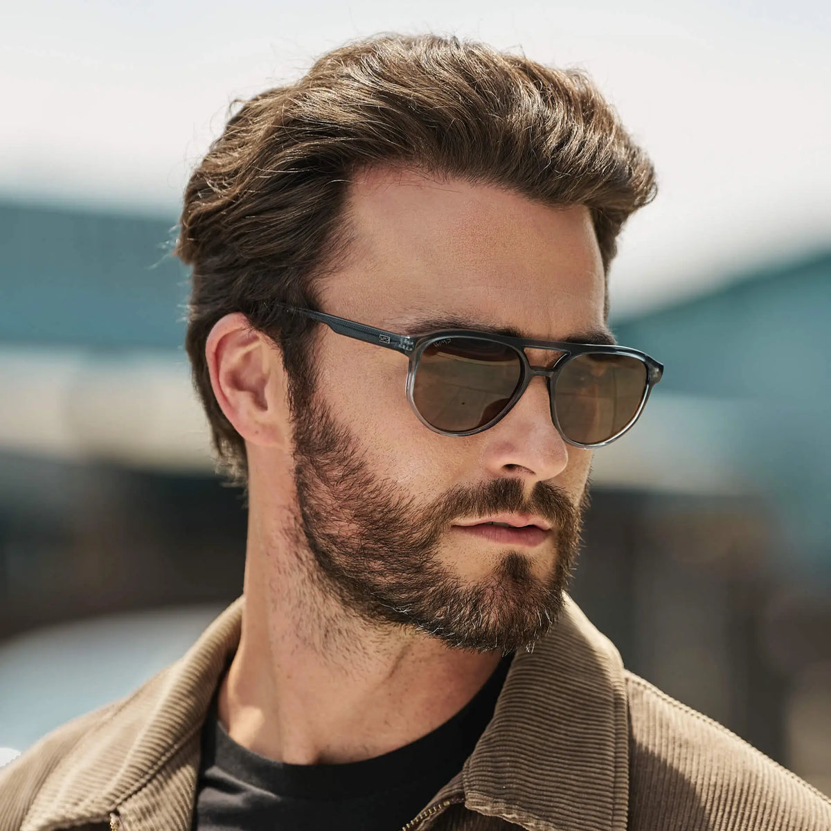 Hudson | Polarized