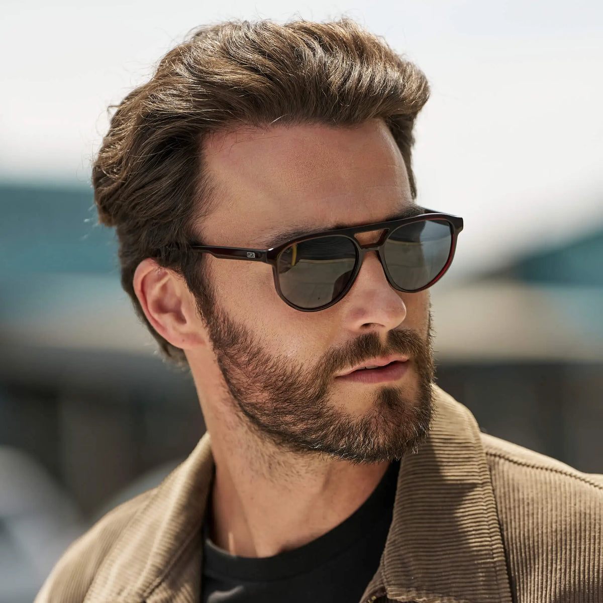 Hudson | Polarized
