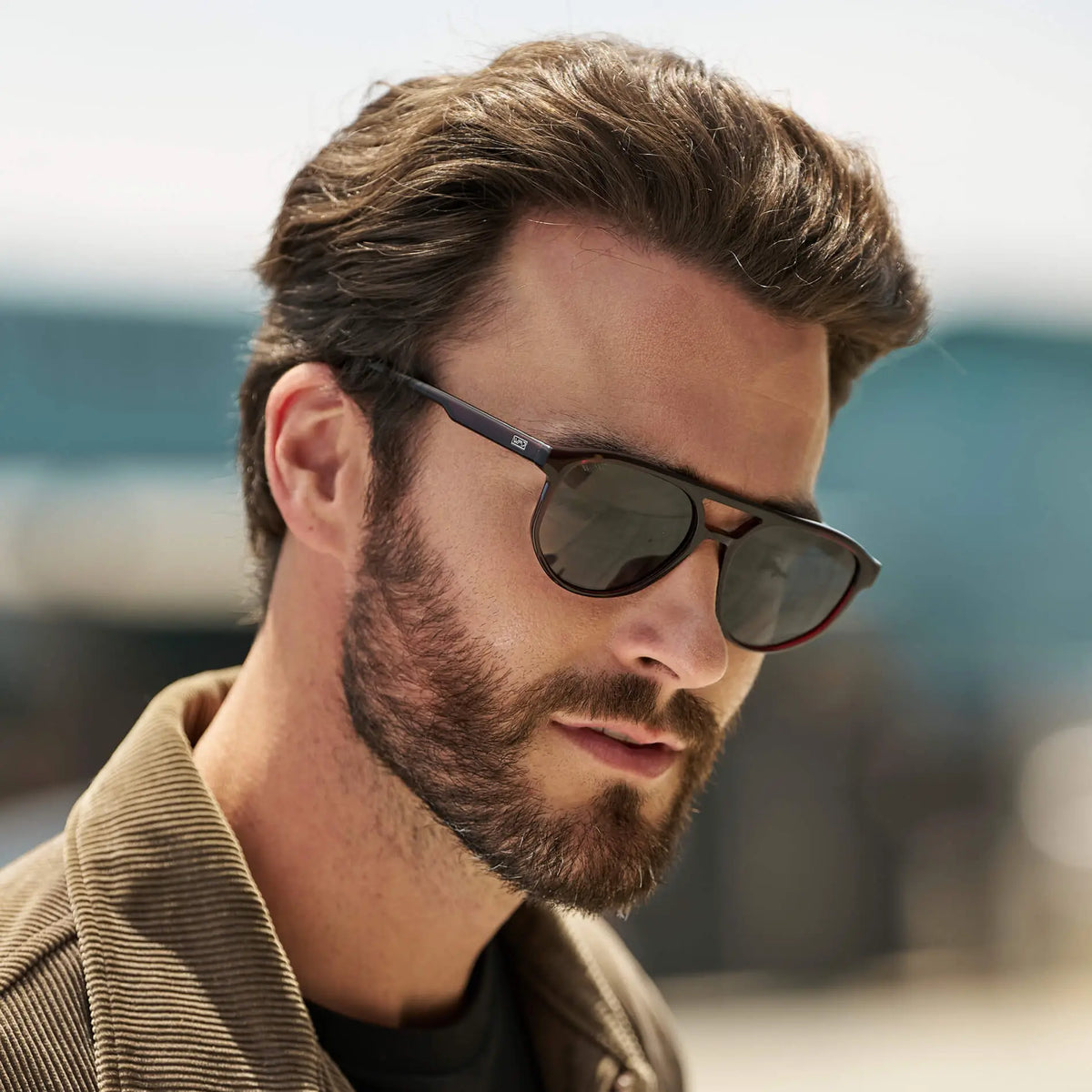 Hudson | Polarized