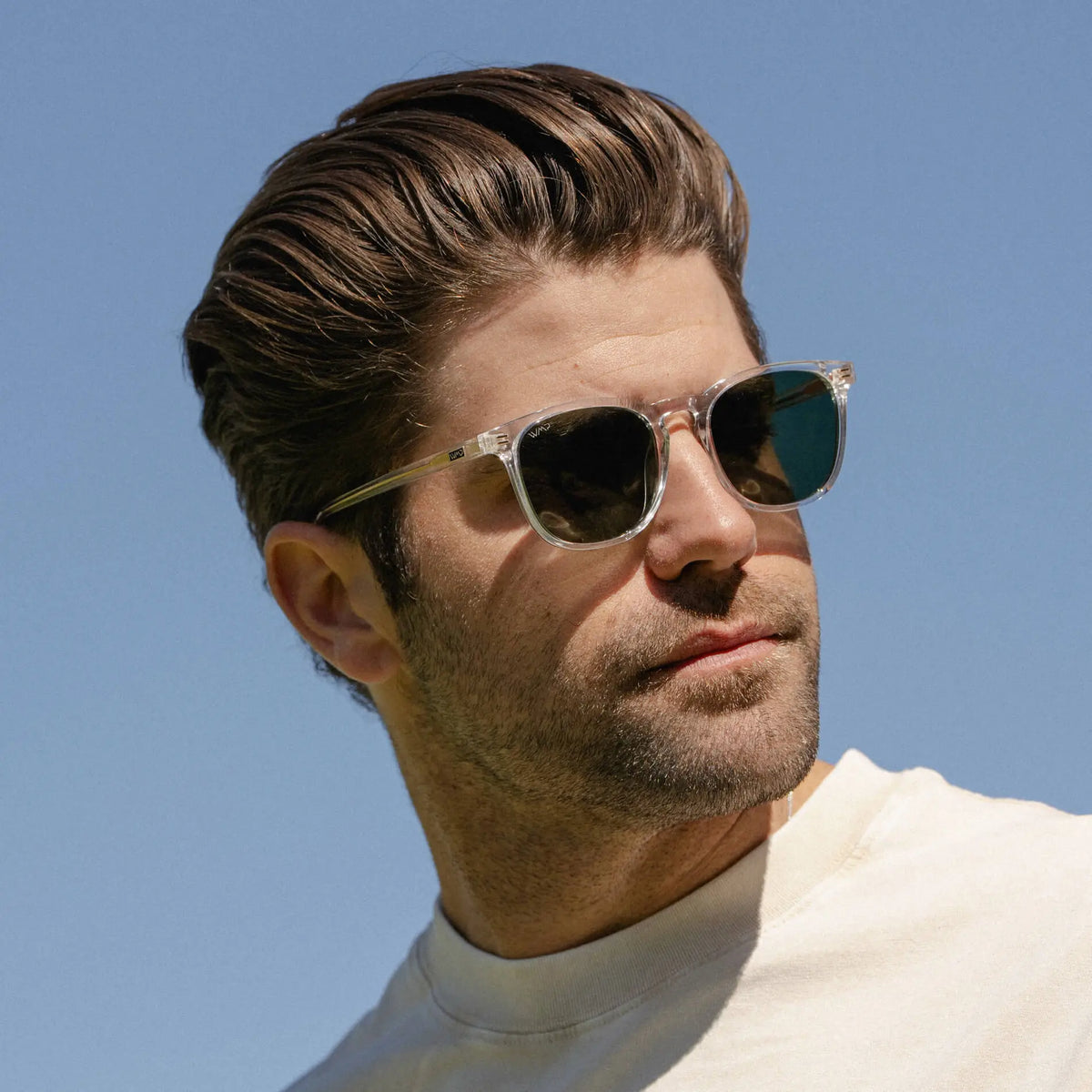 Nick | Polarized