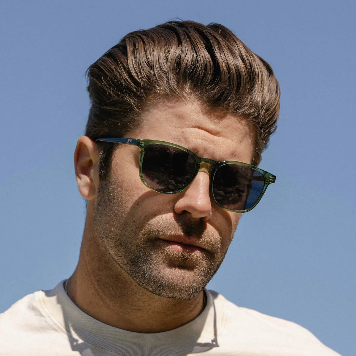 Nick | Polarized