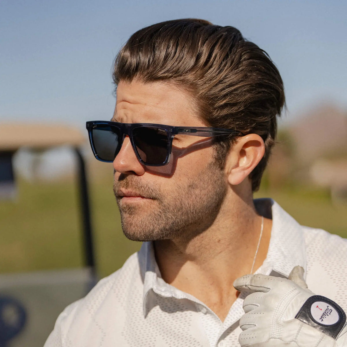 Ace | Polarized