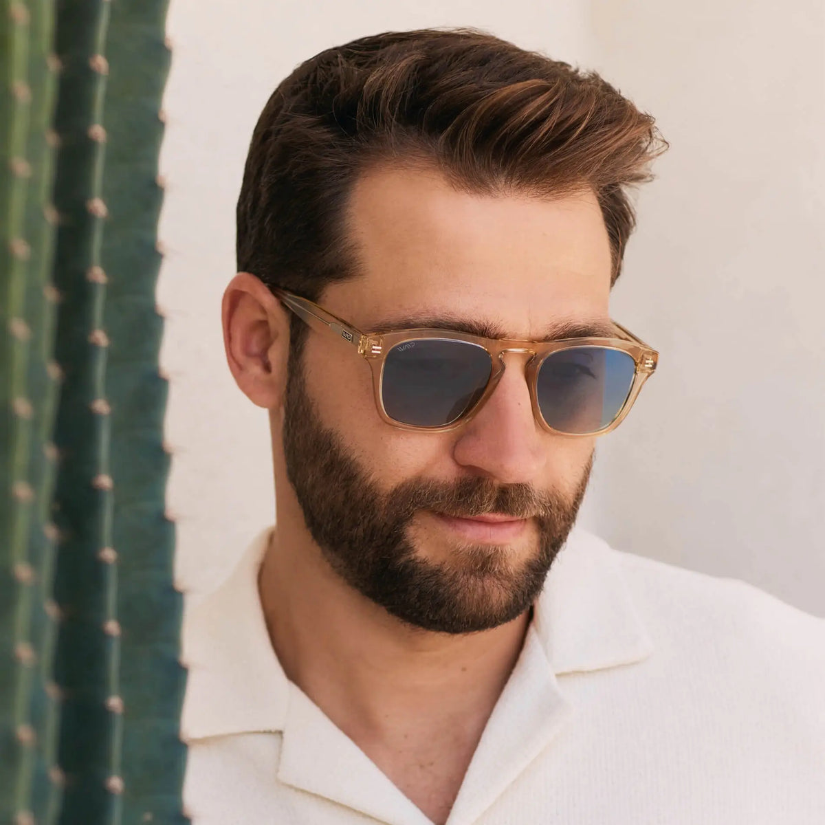 Dash | Polarized