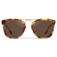 Honeycomb Tortoise / Brown Lens