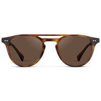 Saddlewood Tortoise / Brown Lens