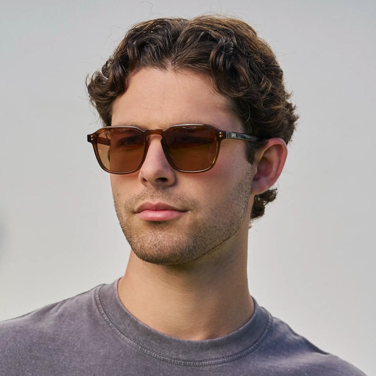 Francis | Polarized