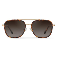 Ruby Tortoise / Brown Gradient Lens