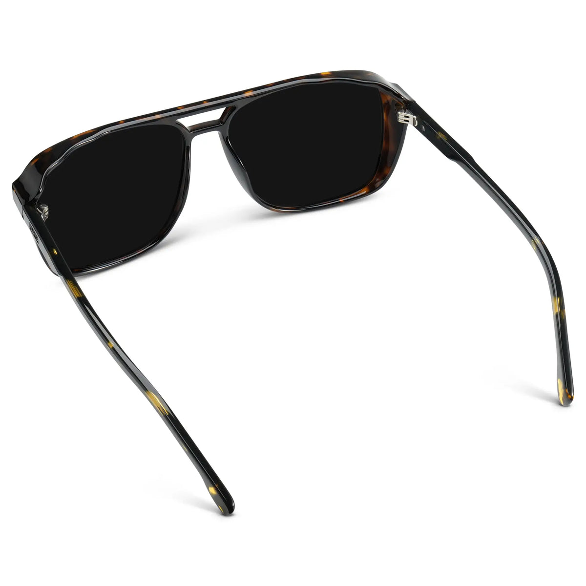 Harvey | Polarized