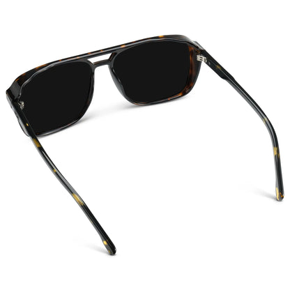 Harvey | Polarized