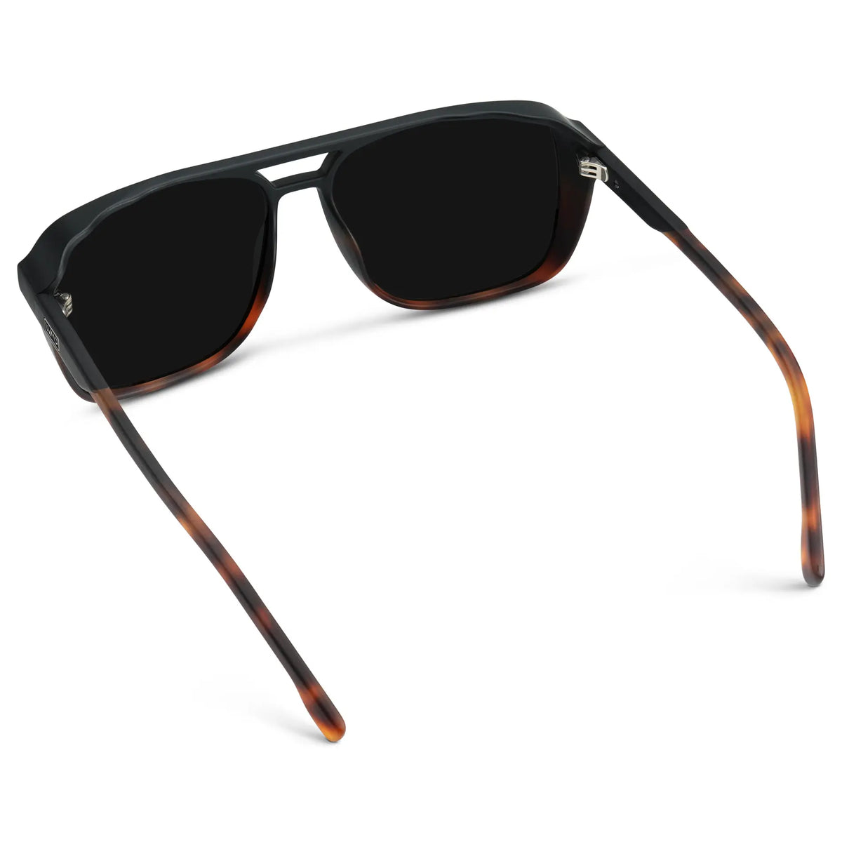 Harvey | Polarized