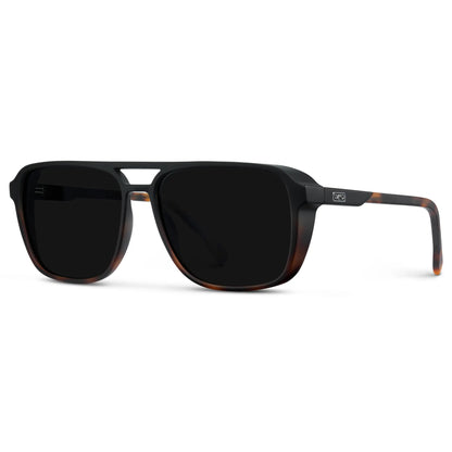 Harvey | Polarized