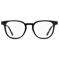 Black Autumn Tortoise