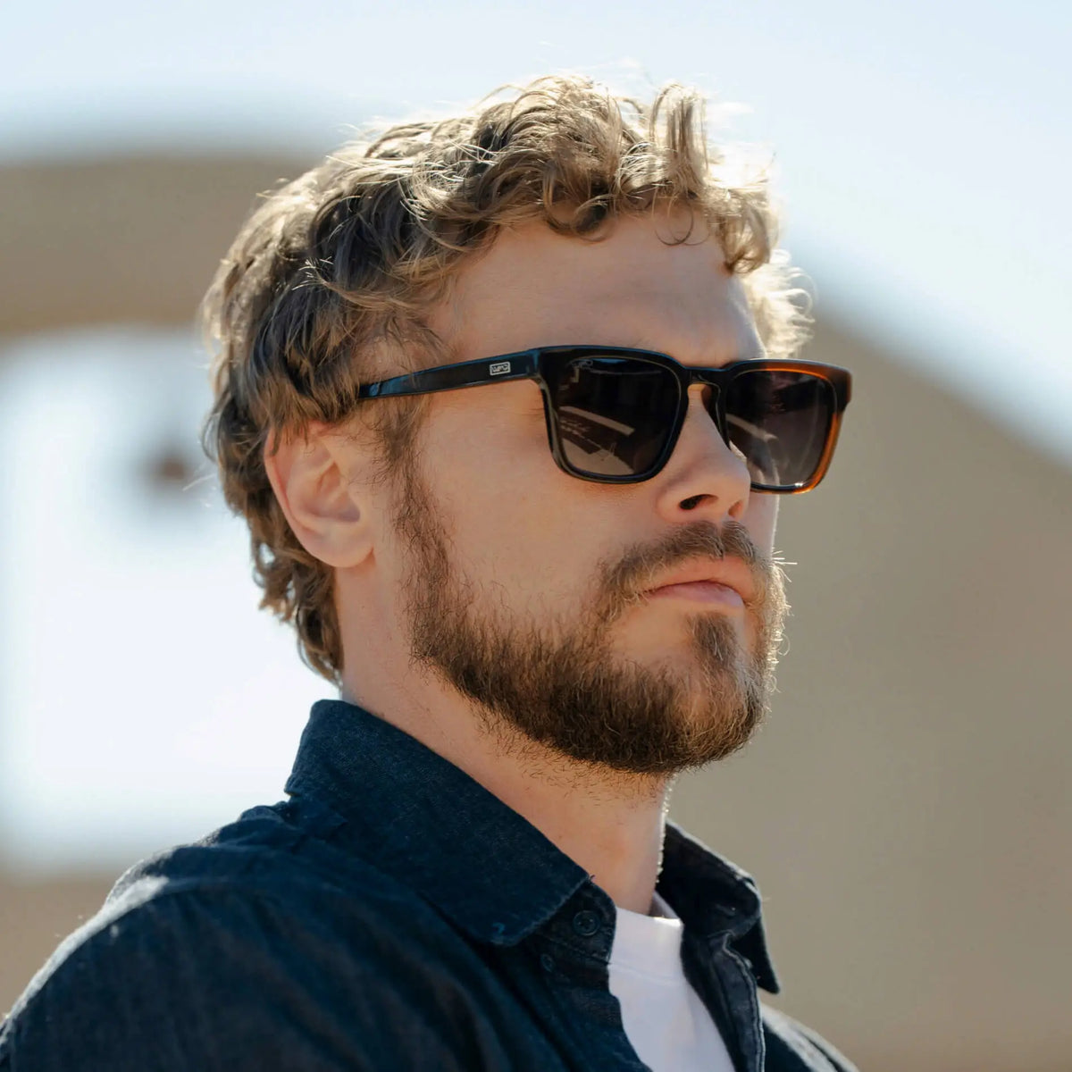 Maverick | Polarized