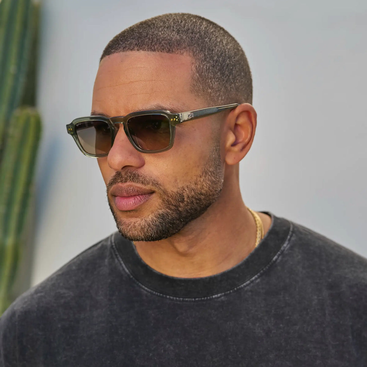 Morris | Polarized