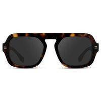 Brown Tortoise