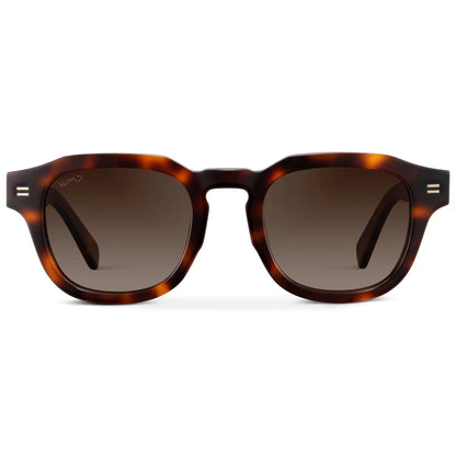 Nelson | Polarized