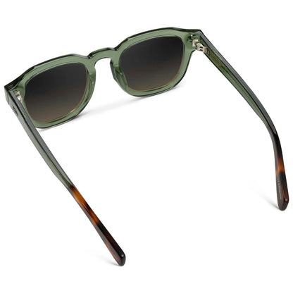 Nelson | Polarized
