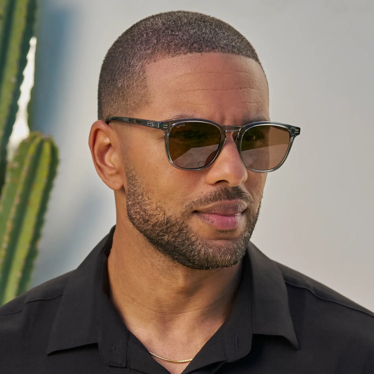 Nick | Polarized