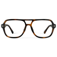 Brown Tortoise