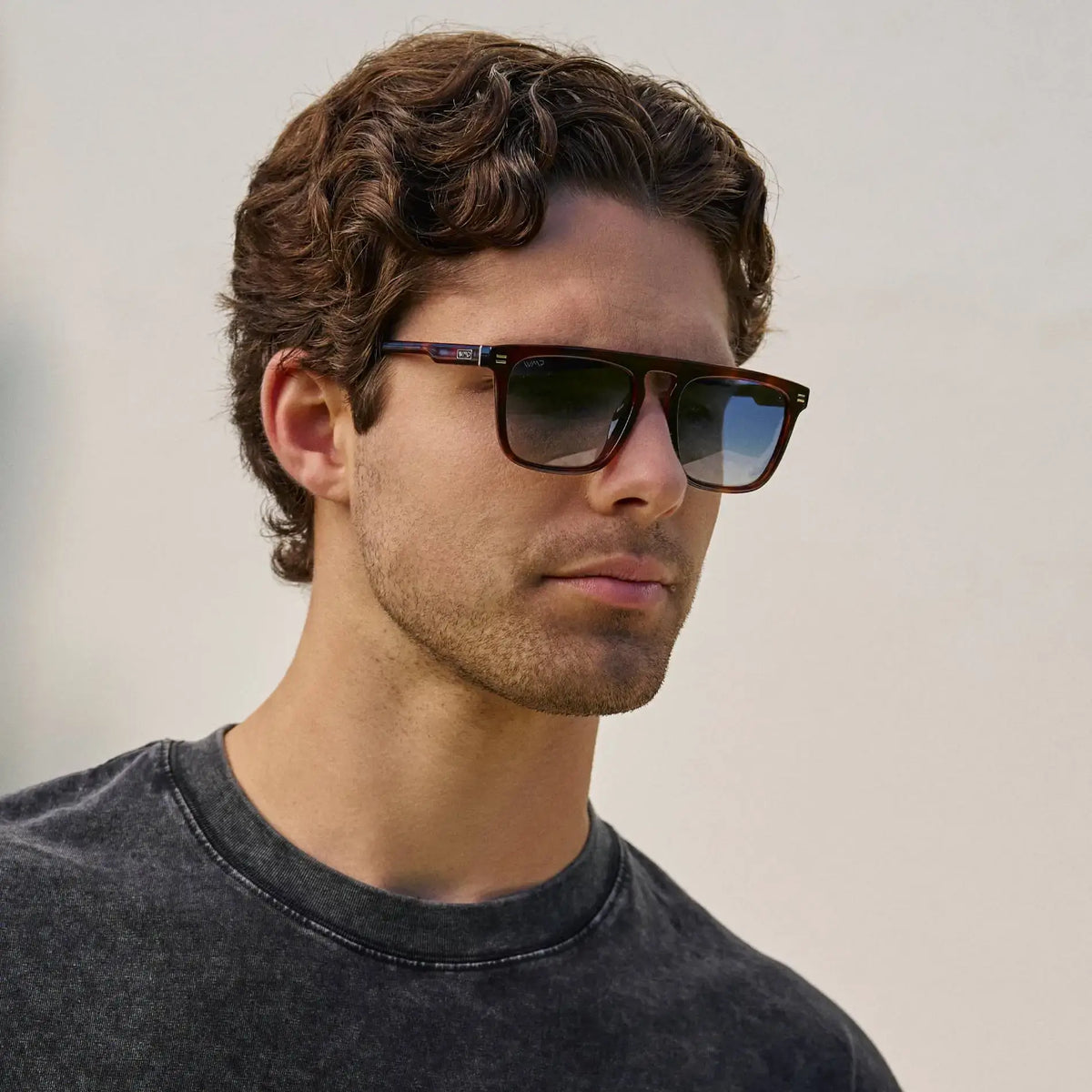 Sawyer | Polarized