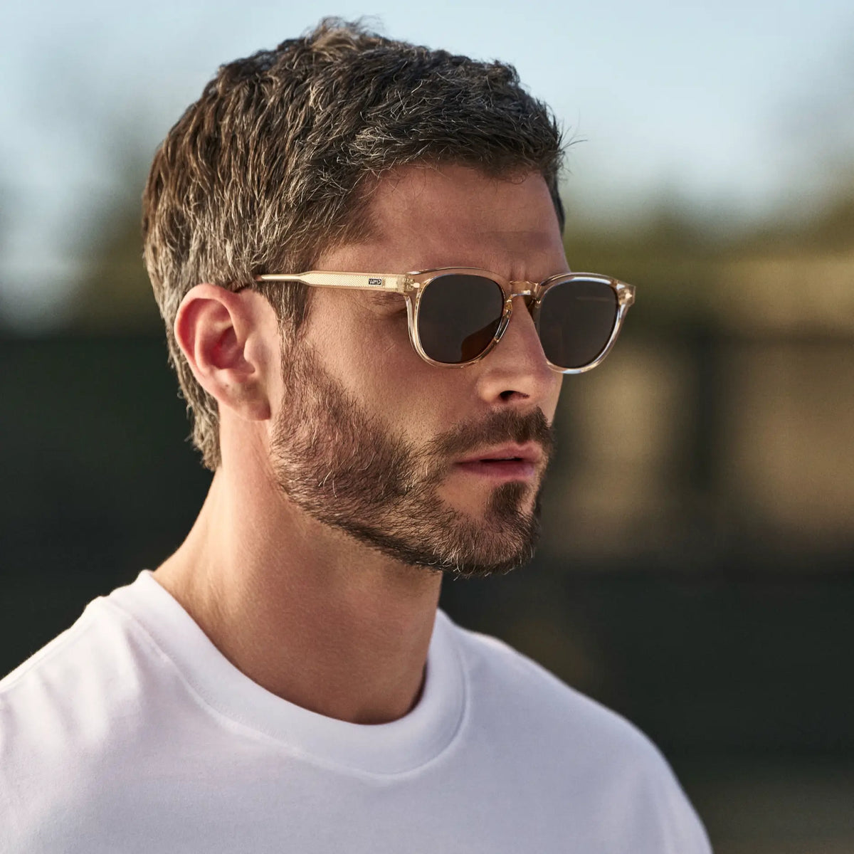 Scout | Polarized