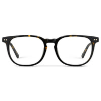 Obsidian Gold Tortoise