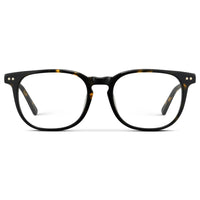 Obsidian Gold Tortoise