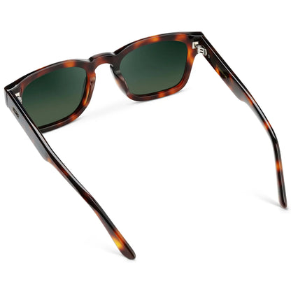 Wayne | Polarized
