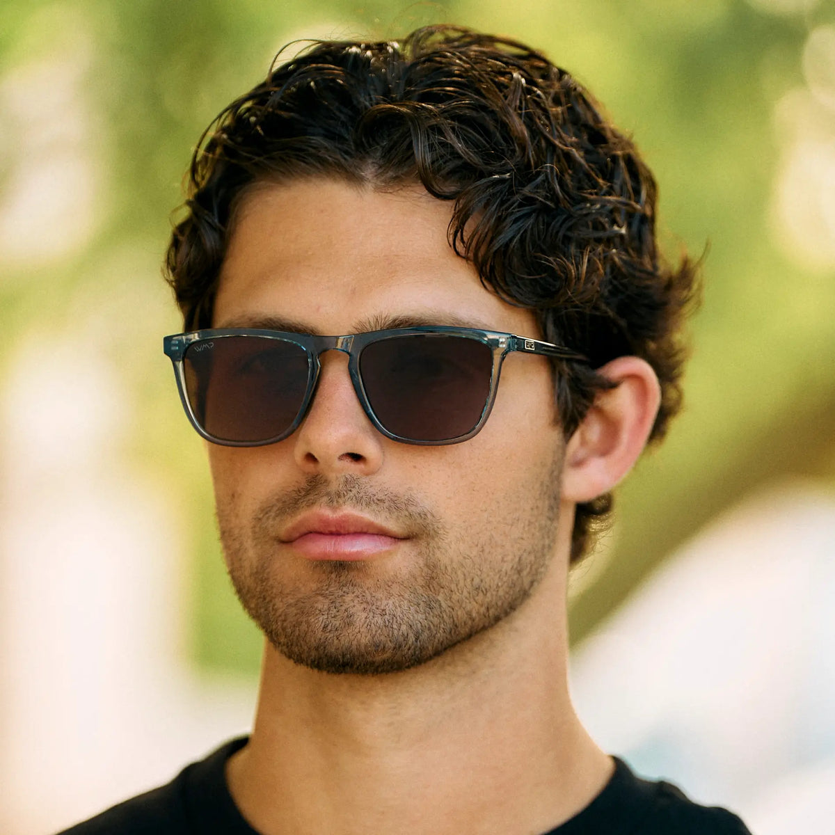 Wesley | Polarized
