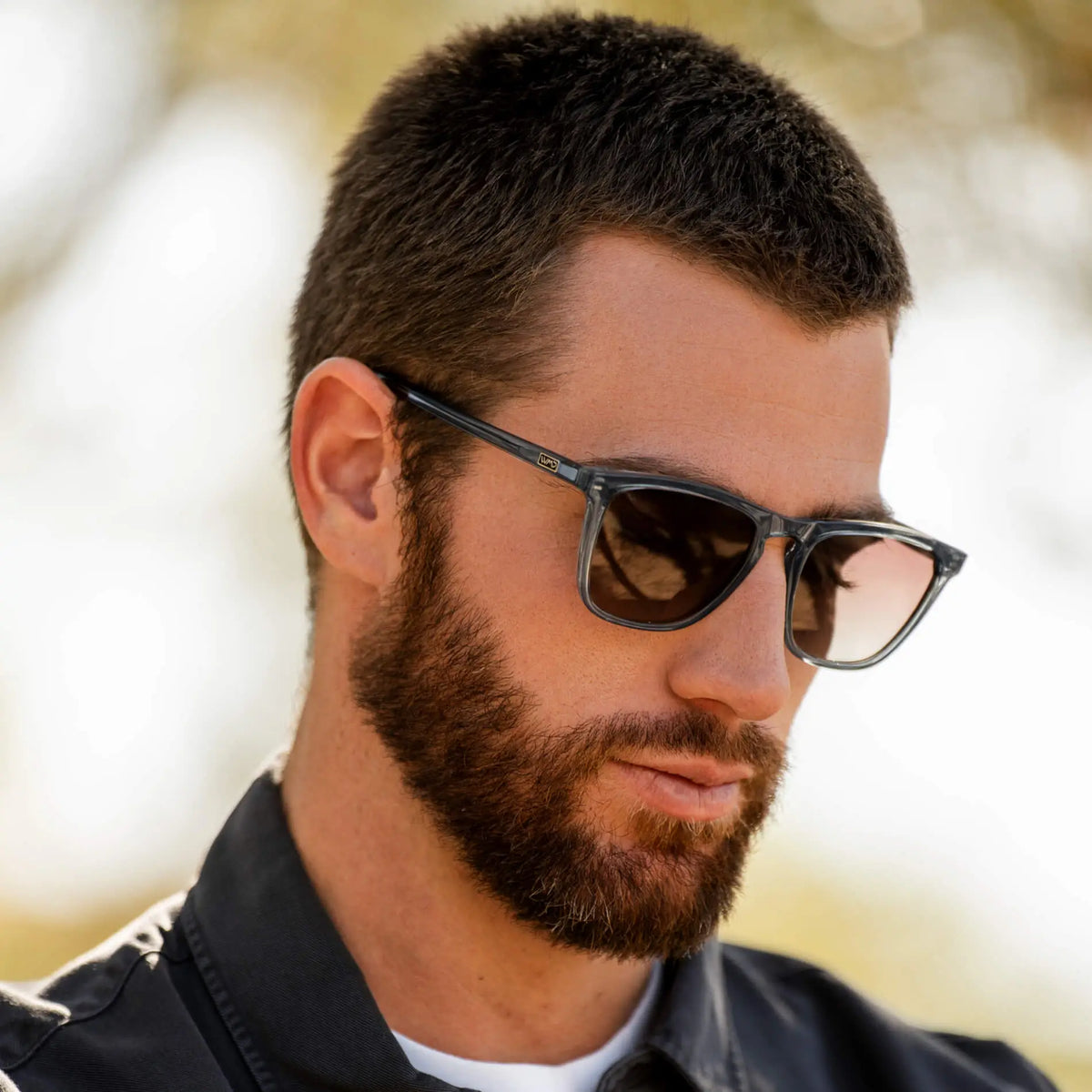 Wesley | Polarized