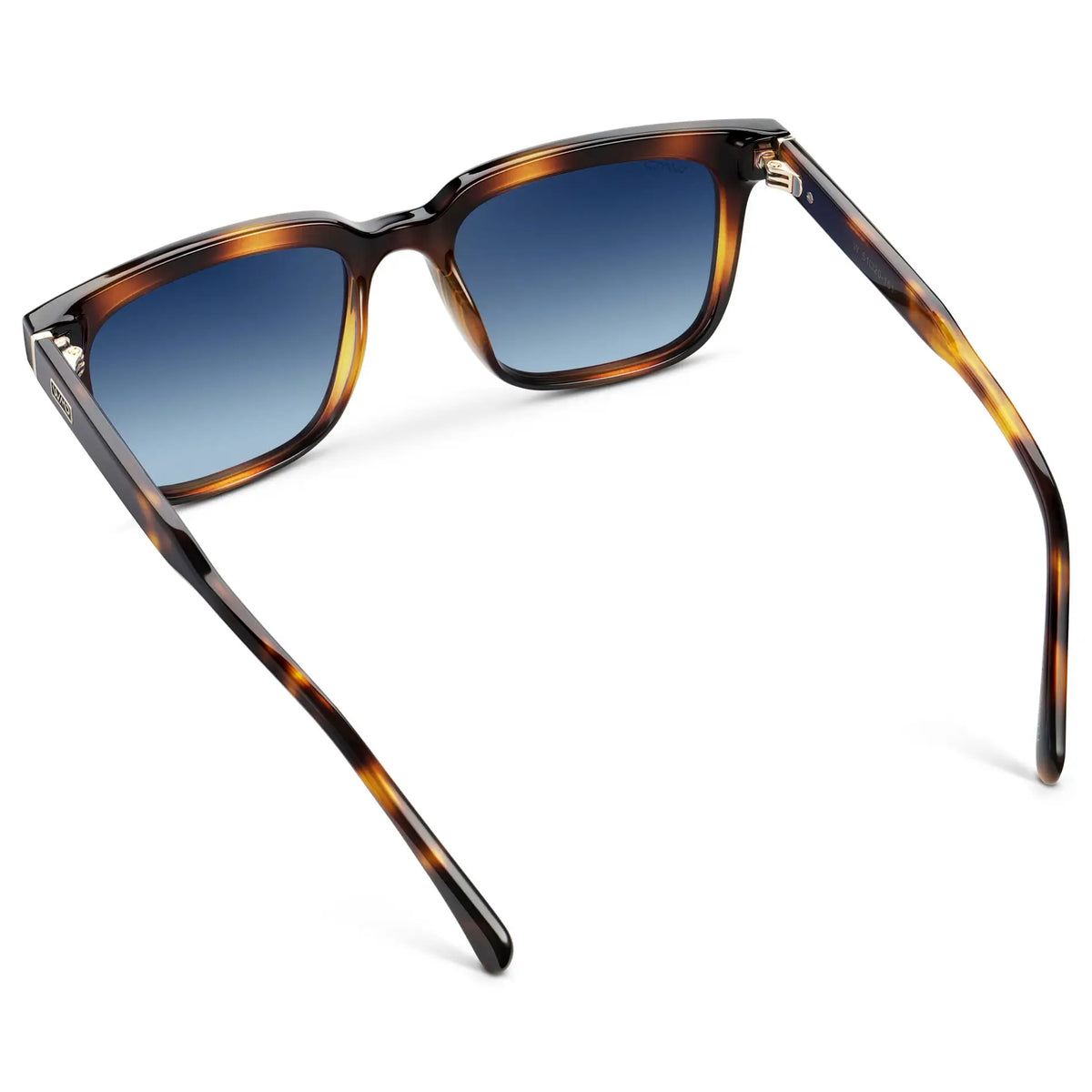 Wilson | Polarized