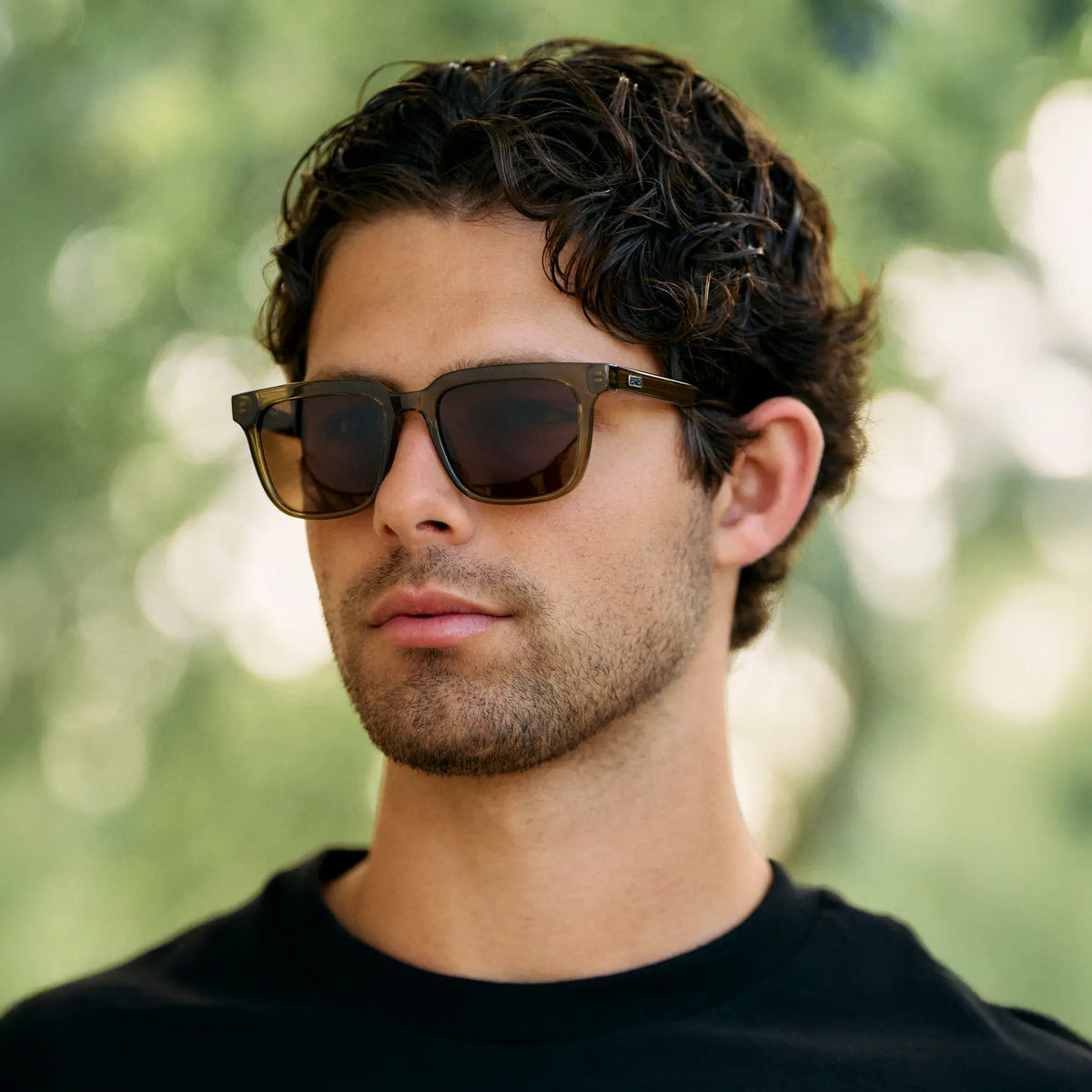 Wilson | Polarized