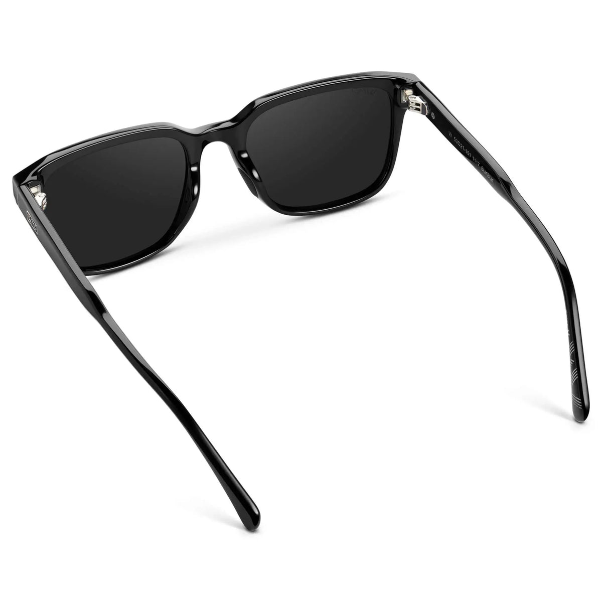 Woods | Polarized